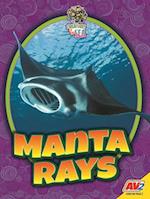 Manta Rays