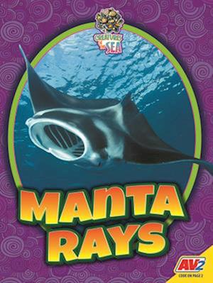 Manta Rays