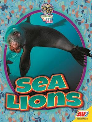 Sea Lions