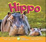 Hippo