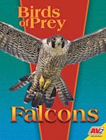 Falcons