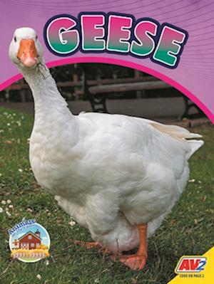 Geese