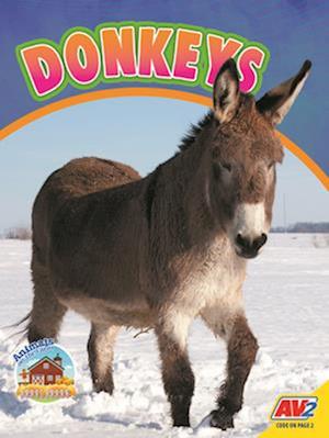 Donkeys