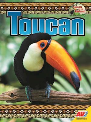 Toucan