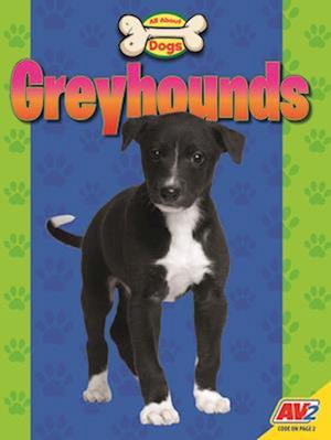 Greyhounds