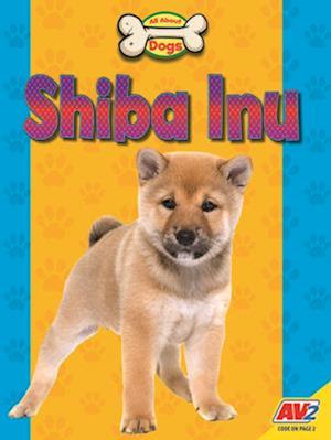 Shiba Inu