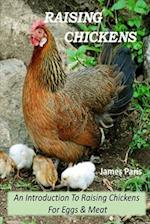 Raising Chickens - An Introduction to Raising Chickens for Eggs & Meat