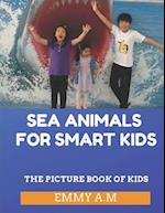 Sea Animals for Smart Kids