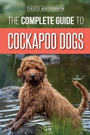 Få The Guide to Cockapoo Dogs: You Need to Know Successfully Raise, Train, and Your New Cockapoo Dog af David Anderson som Hæftet bog på engelsk - 9781792775321