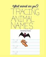 What Animal are You? Tracing Animal Names: Ages 5 and 6 years 