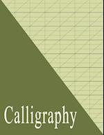 Beginners Calligraphy Workbook