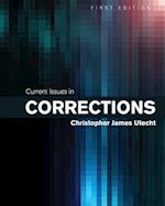 Current Issues in Corrections