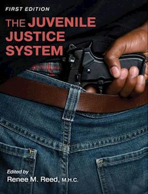 The Juvenile Justice System