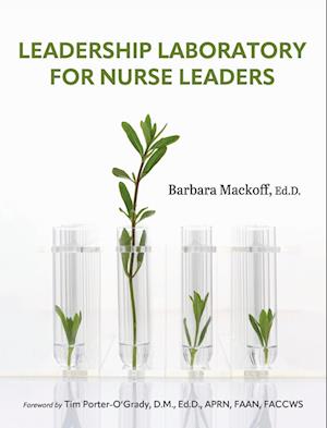 Leadership Laboratory for Nurse Leaders