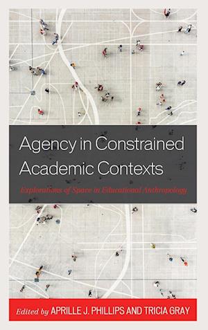 Agency in Constrained Academic Contexts