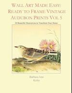 Wall Art Made Easy: Ready to Frame Vintage Audubon Prints Vol 5: 30 Beautiful Illustrations to Transform Your Home 