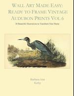 Wall Art Made Easy: Ready to Frame Vintage Audubon Prints Vol 6: 30 Beautiful Illustrations to Transform Your Home 