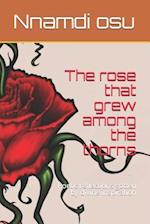 The Rose That Grew Among the Thorns
