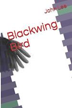 Blackwing Bird
