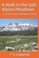 A Walk in the Sub-Alpine Meadows