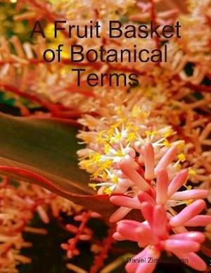 Fruit Basket of Botanical Terms