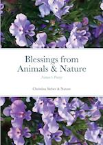 Blessings from Animals & Nature