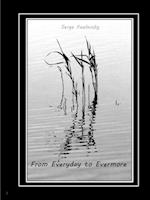 From Everyday to Evermore 