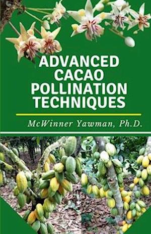 ADVANCED CACAO POLLINATION TECHNIQUES