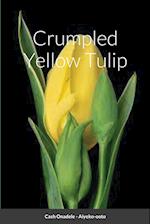 Crumpled Yellow Tulip 