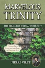 Marvelous Trinity, the Believer's Hope and Delight