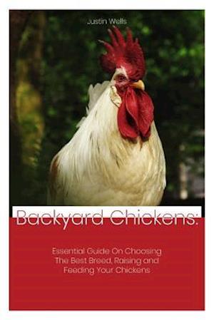 Backyard Chickens