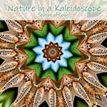 Nature in a Kaleidoscope