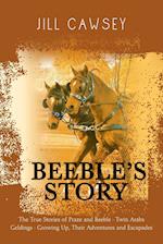 Beeble's Story