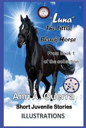 Luna the Little Black Horse