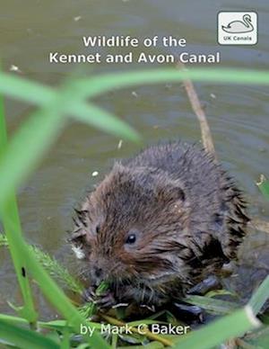 Wildlife of the Kennet and Avon Canal