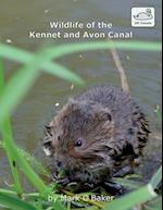 Wildlife of the Kennet and Avon Canal