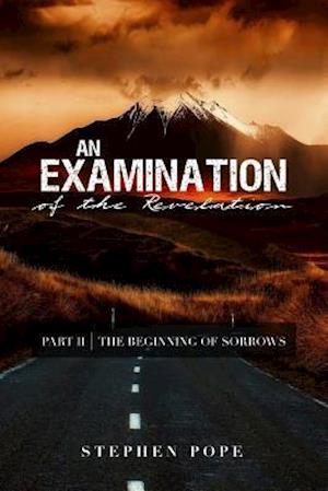 An Examination of the Revelation