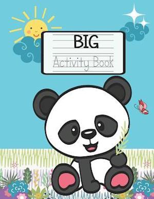 Big Activity Book