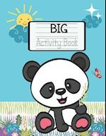 Big Activity Book