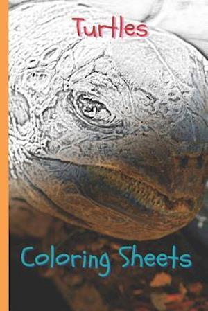 Turtles Coloring Sheets