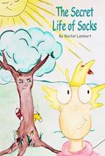 The Secret Life of Socks