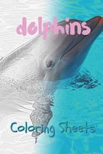 Dolphins Coloring Sheets