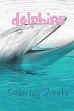 Dolphins Coloring Sheets