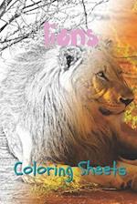 Lion Coloring Sheets