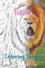 Lion Coloring Sheets