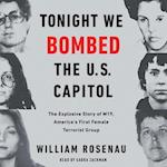 Tonight We Bombed The U.S. Capitol