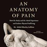 Anatomy of Pain