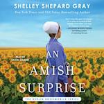 Amish Surprise