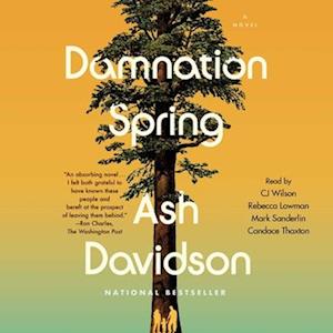 Damnation Spring