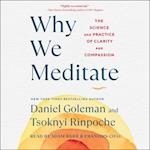 Why We Meditate